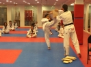 Black Belt Testing - Nov 2015_92