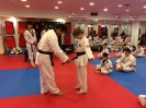 Black Belt Testing - Nov 2016_25