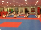 Black Belt Testing - Nov 2016_34