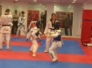 Black Belt Testing - Nov 2016_59