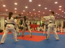 Black Belt Testing - Nov 2016_67