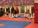 Black Belt Testing - Nov 2017_13