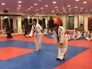 Black Belt Testing - Nov 2017_19