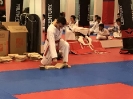 Black Belt Testing - Nov 2017_33