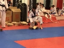 Black Belt Testing - Nov 2017_41