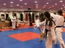 Black Belt Testing - Nov 2017_45