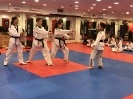 Black Belt Testing - Nov 2017