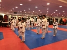 Black Belt Testing - Nov 2017