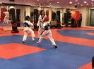 Black Belt Testing - Nov 2017_9