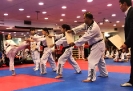 Black Belt Testing - Nov 2018_108