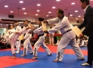 Black Belt Testing - Nov 2018_109