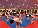 Black Belt Testing - Nov 2018