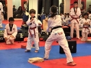 Black Belt Testing - Nov 2018_43