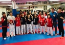 Master Young Sun Bang Seminar_5