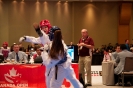 2015 Canada Open - Toronto_7