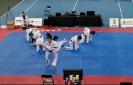 2015 Nationals Opening Ceremony - Montrea_17