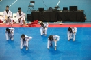 2015 Nationals Opening Ceremony - Montrea_18