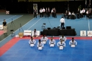 2015 Nationals Opening Ceremony - Montrea_1