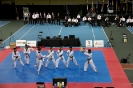2015 Nationals Opening Ceremony - Montrea_23
