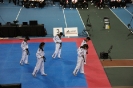 2015 Nationals Opening Ceremony - Montrea_30