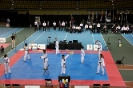 2015 Nationals Opening Ceremony - Montrea_3