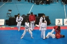 2015 Nationals Opening Ceremony - Montrea_4