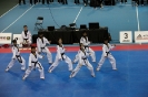 2015 Nationals Opening Ceremony - Montrea_6