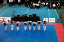 2015 Nationals Opening Ceremony - Montrea_8
