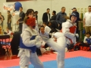 2015 Sport TKD Tournament_15