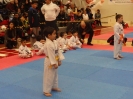 2015 Sport TKD Tournament_19