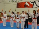 2015 Sport TKD Tournament_26