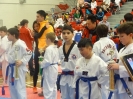 2015 Sport TKD Tournament_37