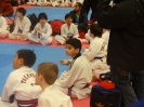 2015 Sport TKD Tournament_44