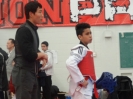 2015 Sport TKD Tournament_50