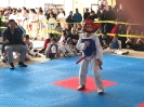2016 Phoenix Games_33