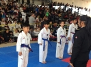 2016 Phoenix Games_43
