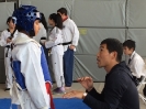 2016 Phoenix Games