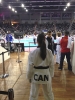   2016 President's Cup, Bonn, Germany_12