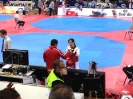   2016 President's Cup, Bonn, Germany_1