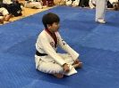 2018 Sport TKD Open_36