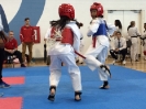 Grand Master Son's Tournament_16