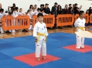 Grand Master Son's Tournament_3