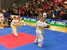  Master Jung Ko's Tournament - Oct 2015_101