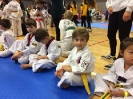  Master Jung Ko's Tournament - Oct 2015_20