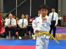  Master Jung Ko's Tournament - Oct 2015_28