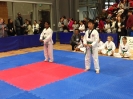  Master Jung Ko's Tournament - Oct 2015_33