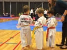  Master Jung Ko's Tournament - Oct 2015_3