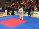  Master Jung Ko's Tournament - Oct 2015_75