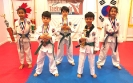 Sport TKD Tournament - Apr 1, 2017_2