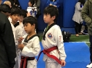 Sport TKD Tournament - Apr 1, 2017 _10